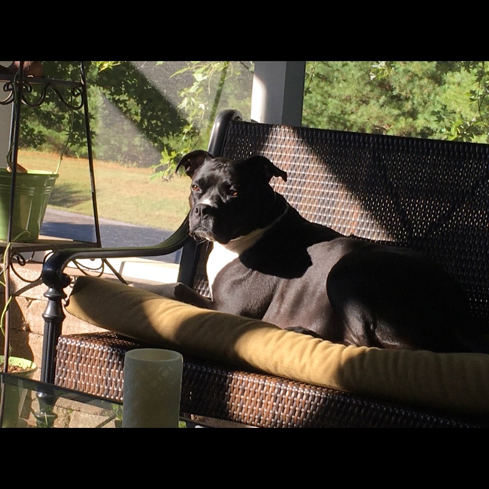 Meet your Posher, Amy